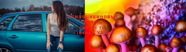 ешки Навашино