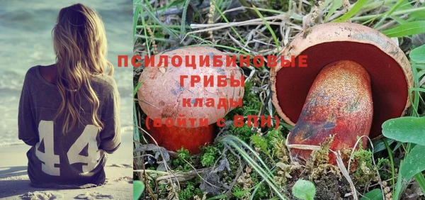 соль курить ск Наволоки